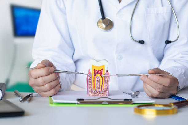 Best Pediatric Emergency Dentist in Lake Linden, MI